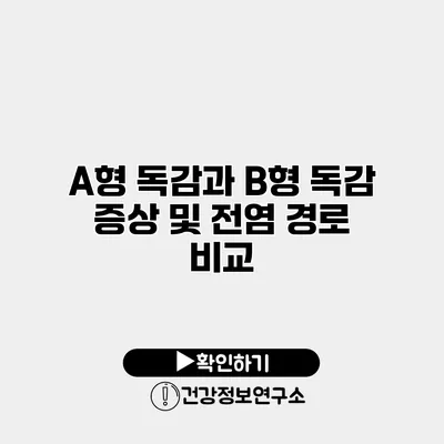 A형 독감과 B형 독감 증상 및 전염 경로 비교