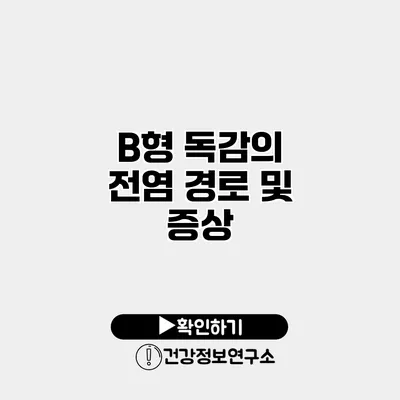 B형 독감의 전염 경로 및 증상