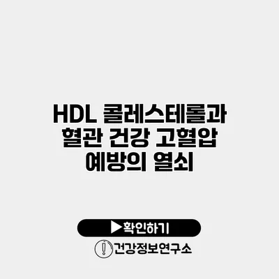 HDL 콜레스테롤과 혈관 건강 고혈압 예방의 열쇠