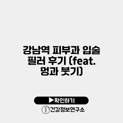 강남역 피부과 입술 필러 후기 (feat. 멍과 붓기)