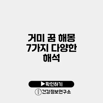 거미 꿈 해몽 7가지 다양한 해석