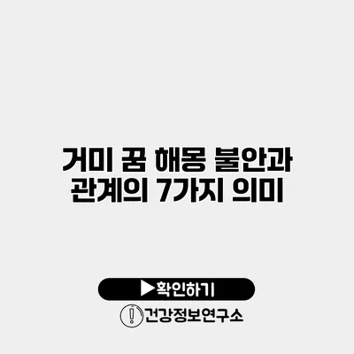 거미 꿈 해몽 불안과 관계의 7가지 의미