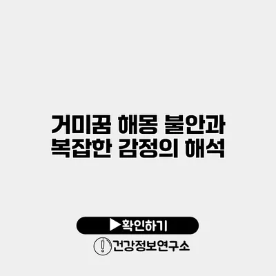 거미꿈 해몽 불안과 복잡한 감정의 해석