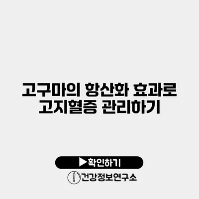 고구마의 항산화 효과로 고지혈증 관리하기
