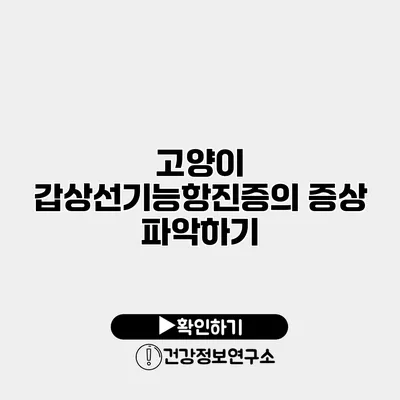고양이 갑상선기능항진증의 증상 파악하기