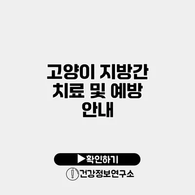고양이 지방간 치료 및 예방 안내
