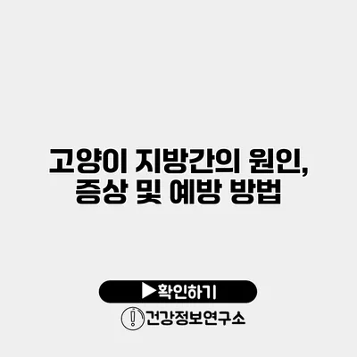 고양이 지방간의 원인, 증상 및 예방 방법
