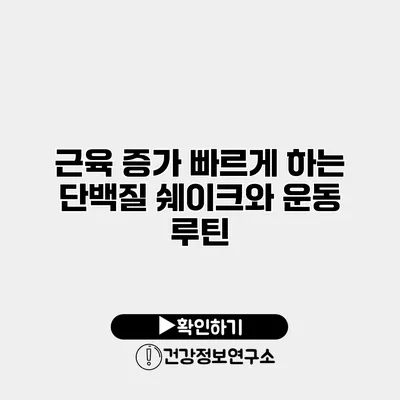 근육 증가 빠르게 하는 단백질 쉐이크와 운동 루틴