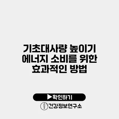 기초대사량 높이기 에너지 소비를 위한 효과적인 방법
