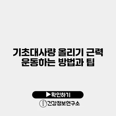 기초대사량 올리기 근력 운동하는 방법과 팁