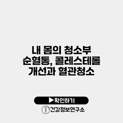 내 몸의 청소부 순혈통, 콜레스테롤 개선과 혈관청소