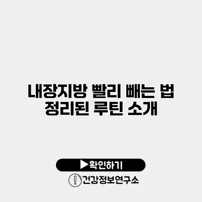 내장지방 빨리 빼는 법 정리된 루틴 소개