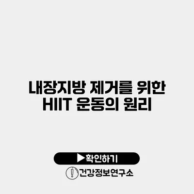 내장지방 제거를 위한 HIIT 운동의 원리