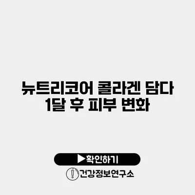 뉴트리코어 콜라겐 담다 1달 후 피부 변화