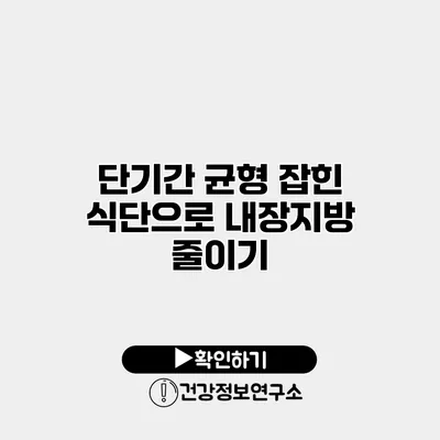 단기간 균형 잡힌 식단으로 내장지방 줄이기