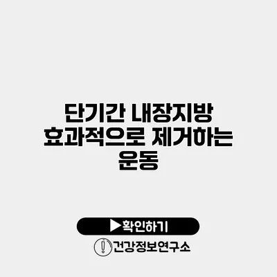 단기간 내장지방 효과적으로 제거하는 운동