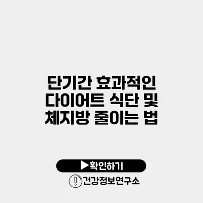 단기간 효과적인 다이어트 식단 및 체지방 줄이는 법