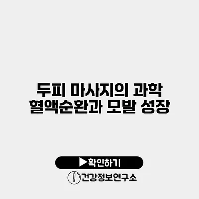 두피 마사지의 과학 혈액순환과 모발 성장
