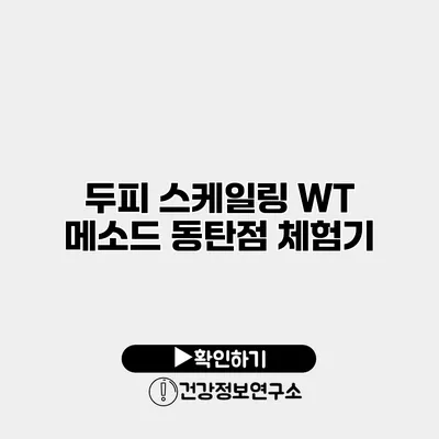 두피 스케일링 WT 메소드 동탄점 체험기