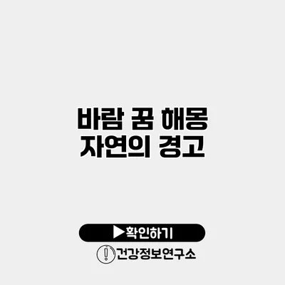 바람 꿈 해몽 자연의 경고