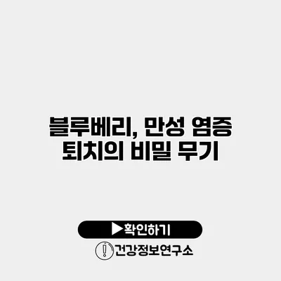 블루베리, 만성 염증 퇴치의 비밀 무기
