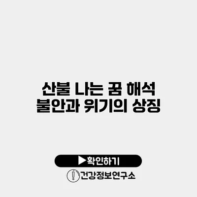 산불 나는 꿈 해석 불안과 위기의 상징