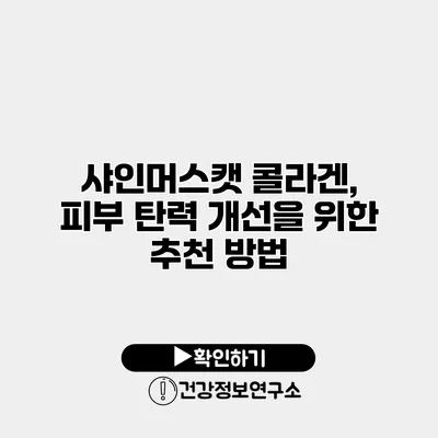 샤인머스캣 콜라겐, 피부 탄력 개선을 위한 추천 방법