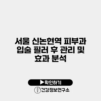 서울 신논현역 피부과 입술 필러 후 관리 및 효과 분석