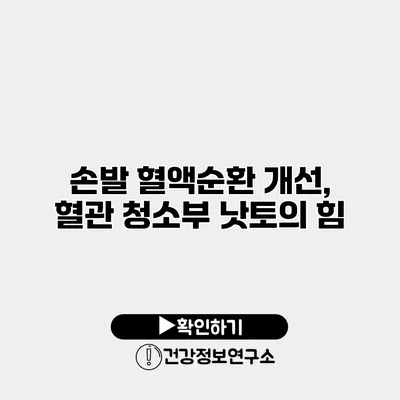 손발 혈액순환 개선, 혈관 청소부 낫토의 힘