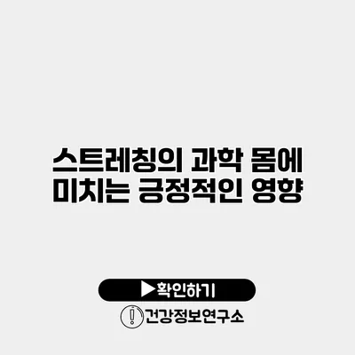 스트레칭의 과학 몸에 미치는 긍정적인 영향