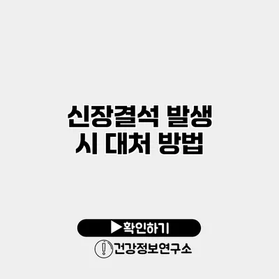 신장결석 발생 시 대처 방법