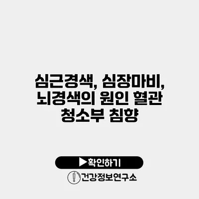 심근경색, 심장마비, 뇌경색의 원인 혈관 청소부 침향