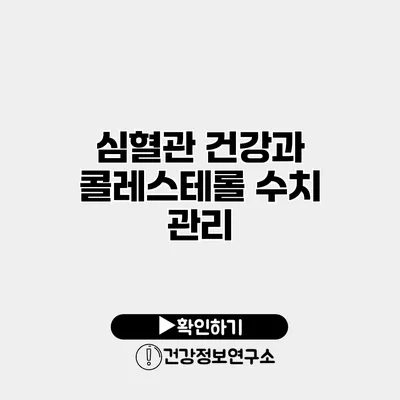 심혈관 건강과 콜레스테롤 수치 관리