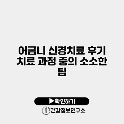 어금니 신경치료 후기 치료 과정 중의 소소한 팁