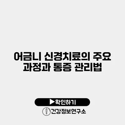 어금니 신경치료의 주요 과정과 통증 관리법
