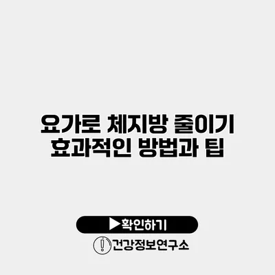 요가로 체지방 줄이기 효과적인 방법과 팁