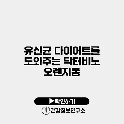 유산균 다이어트를 도와주는 닥터비노 오렌지통