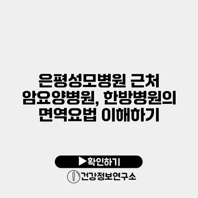 은평성모병원 근처 암요양병원, 한방병원의 면역요법 이해하기