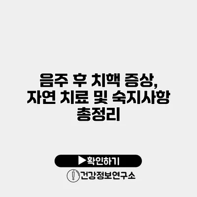 음주 후 치핵 증상, 자연 치료 및 숙지사항 총정리