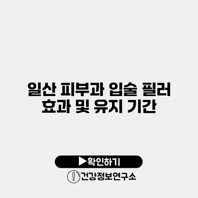 일산 피부과 입술 필러 효과 및 유지 기간