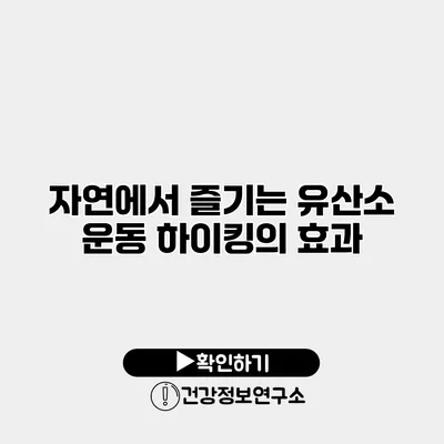 자연에서 즐기는 유산소 운동 하이킹의 효과