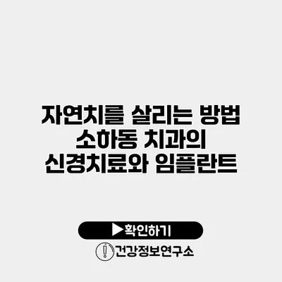자연치를 살리는 방법 소하동 치과의 신경치료와 임플란트