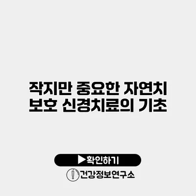 작지만 중요한 자연치 보호 신경치료의 기초