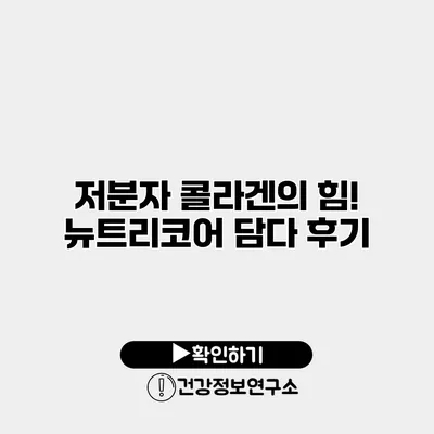 저분자 콜라겐의 힘! 뉴트리코어 담다 후기