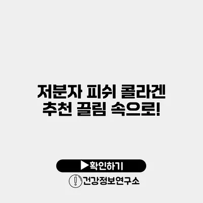 저분자 피쉬 콜라겐 추천 끌림 속으로!