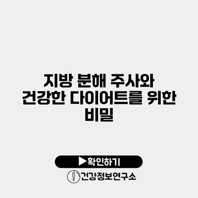 지방 분해 주사와 건강한 다이어트를 위한 비밀