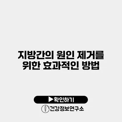 지방간의 원인 제거를 위한 효과적인 방법