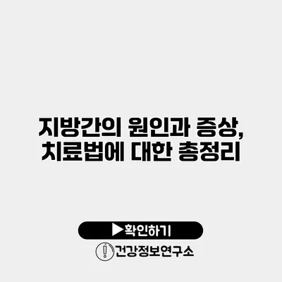 지방간의 원인과 증상, 치료법에 대한 총정리