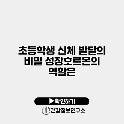 초등학생 신체 발달의 비밀 성장호르몬의 역할은?