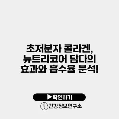 초저분자 콜라겐, 뉴트리코어 담다의 효과와 흡수율 분석!